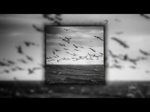 harlan - cranes (Horus x Loc Dog type beat)