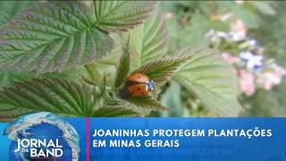Miniatura do vídeo