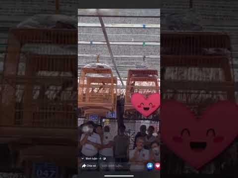 Chung kết giải 4 xe máy clb Nu hóc môn ngày 11/09/22 sbd 037