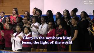 &quot;Jesus The Light of the World&quot; Royal Priesthood