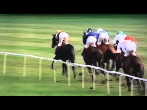 Nagroda St.Leger - 7.09.1997 - Hallmark (Shalford - Cryptic Gold)
