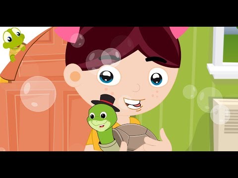 I Had A Little Turtle | Tiny Tim | Nursery Rhymes for Kids