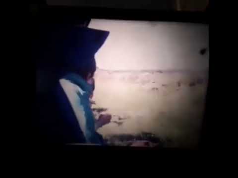 Turismo Carretera 1990: 14ª fecha - Bahía Blanca (1ª Serie)