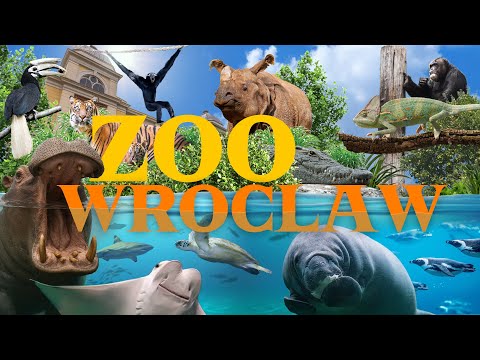 Wrocław Zoo – One of Europe’s Most Underrated Zoos! | Zoo Review