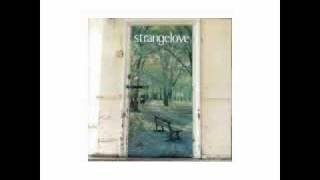 Strangelove - Wellington Road