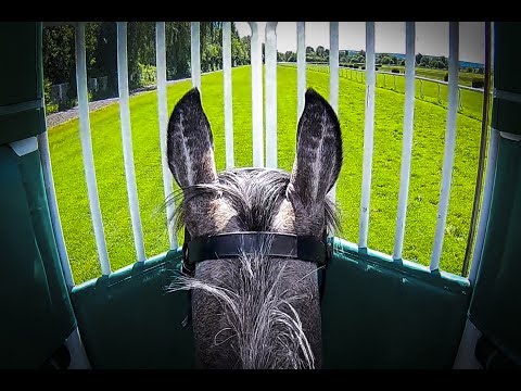 Dostih z pohledu žokeje #2