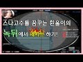 女스나(입문) 흰울이의 녹뒤플레이 3:3 세이브 하기!