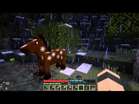 Minecraft TerraFirmaCraft #34: Horsing Around
