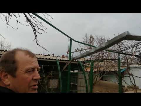 // ГОЛУБИ // В ГОСТЯХ.У БОШКО // Г. САЛЬСК