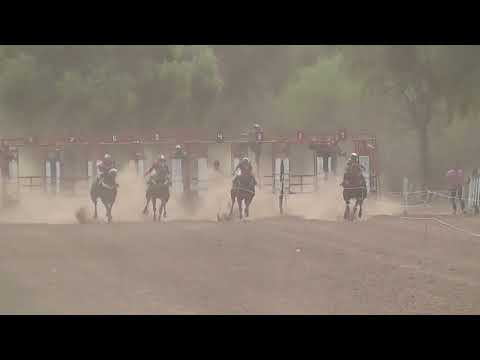 JEFECITO HIPODROMO DON NICO BAÑADO DE SOTO 30 10 2022