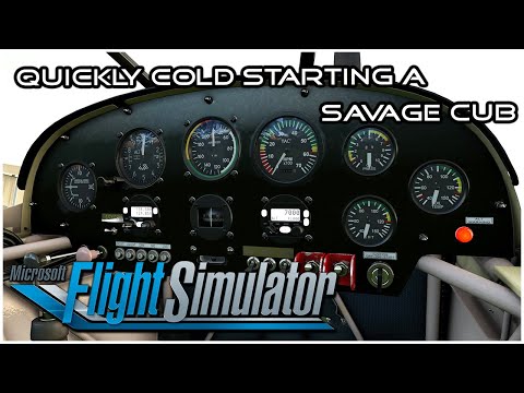 MFS2020 - How to Quickly Start a Savage Cub