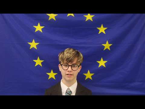 Mercy Mounthawk Euroscola Video Competitoion Entry 2019