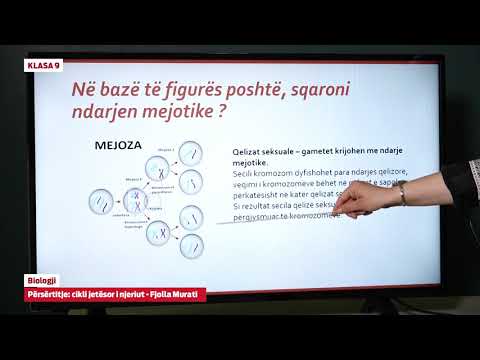e Mesimi Klasa 9 - 9025 Biologji  - Përsërtitje cikli jetësor i njeriut