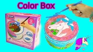 Breyer Horse Crazy Color &amp; Decorate Treasure Box Craft Video with Markers - Honeyhearts