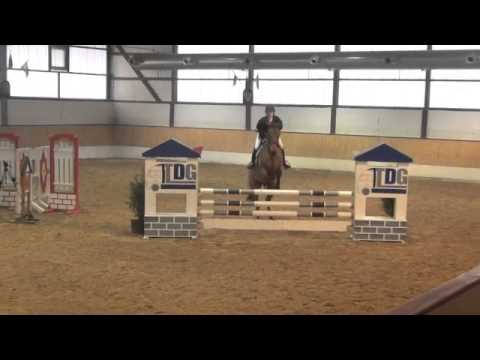 Quanta, *sold*, braune Stute, *2008, Quo Vados I - Carnando - Corporal