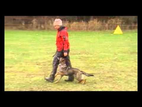 EMMA Aykmar - OBEDIENCE 5,5 months