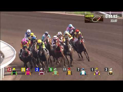 4/7/2021 (804) Ka Ying Master - Z Purton