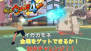 妖怪ウオッチ４で30分でイカカモネの金の魂　ゲットできるかtチャレンジ!!【妖怪ウオッチ１連動】