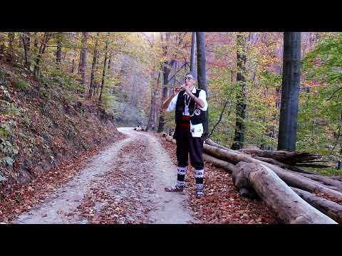 Stani stani Ibar vodo - frula