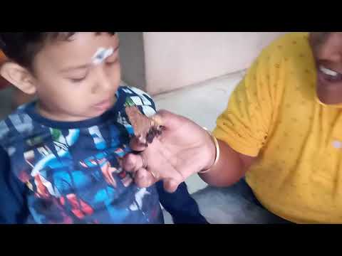 Rajdeep  happy birthday