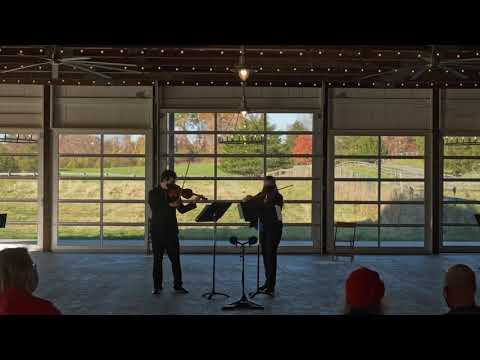 Promotional video thumbnail 3 for Camelia Strings