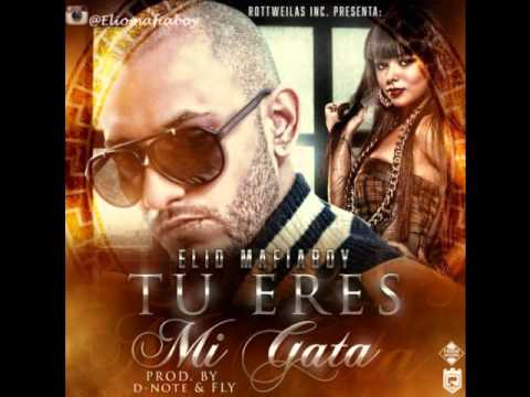 Elio MafiaBoy - Tu Eres Mi Gata (Rottweilas) (Da Young King)