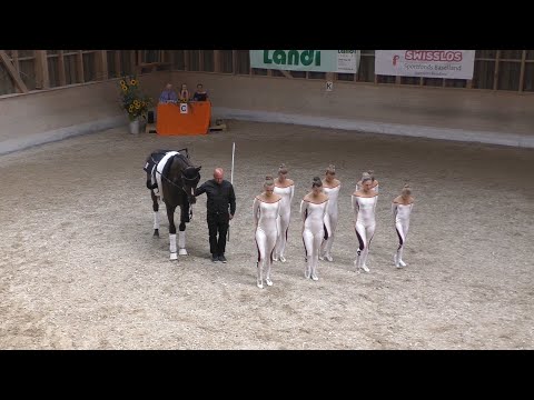 Biel I | Pflicht | Kategorie S | CVN Laufen 2019