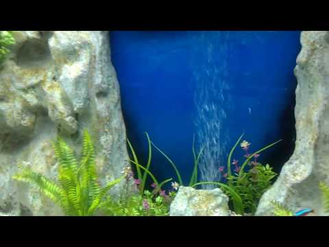 170litre fresh water aquarium