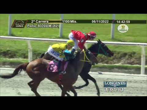 221106 c02 PARABOLICA