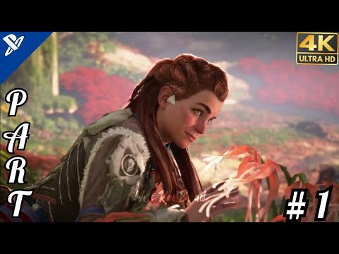 HORIZON FORBIDDEN WEST PS4 Pro Walkthrough Gameplay Part 1 - INTRO (FULL GAME)