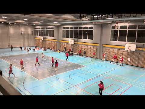 Bellinzona - Glaronia 21.1.2023 Teil 2