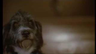 Video Ayúdale de Parchís