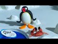 Pingu And The School Pet Pingu Official Channel Cartoons For Kids