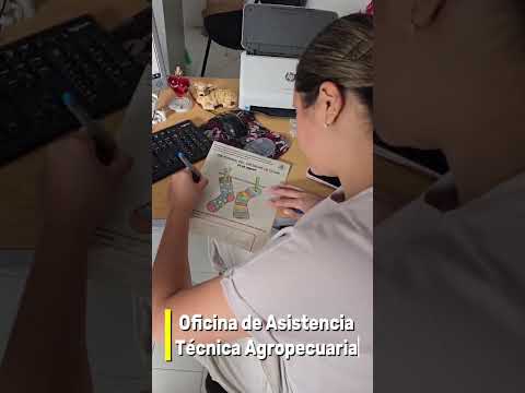 💛 DÍA INTERNACIONAL DEL SÍNDROME DE DOWN 💛