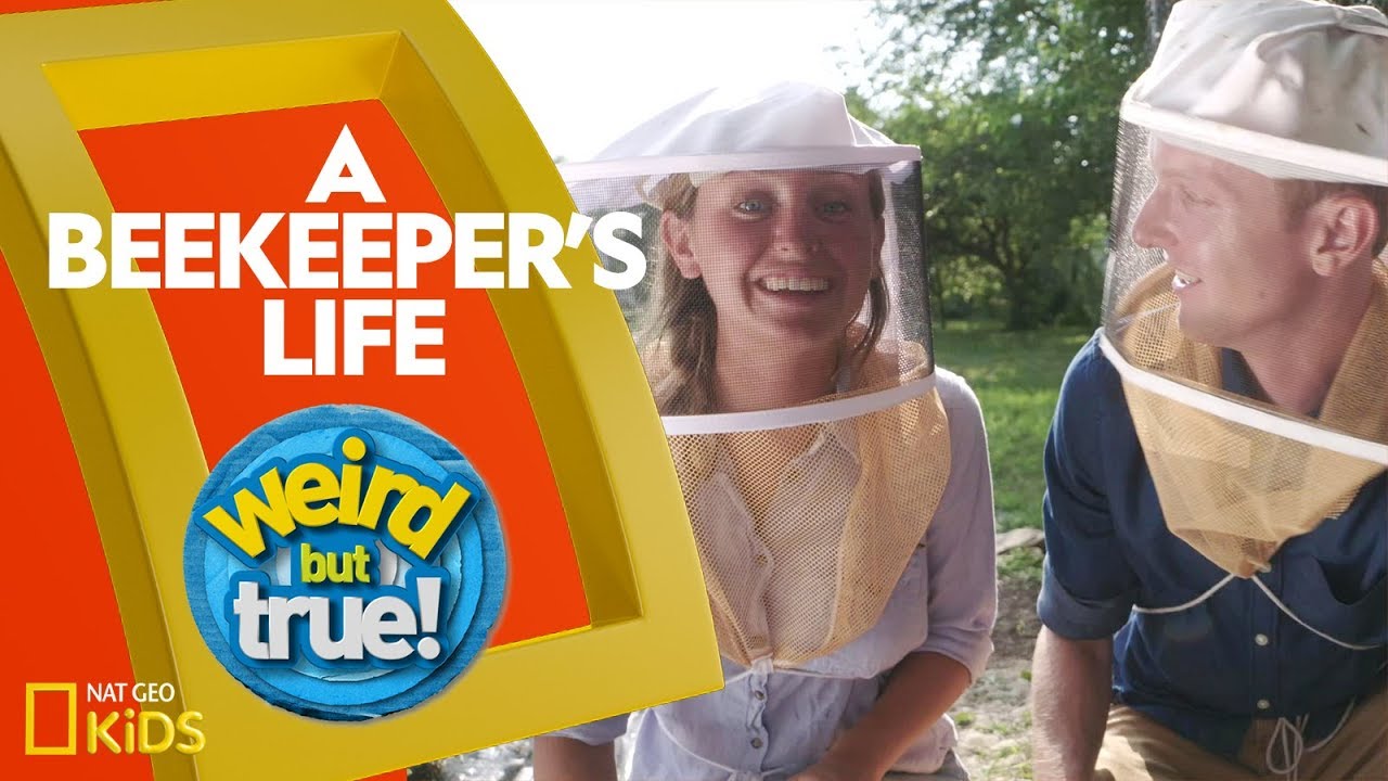A Beekeeper's Life | Weirdest, Bestest, Truest - YouTube