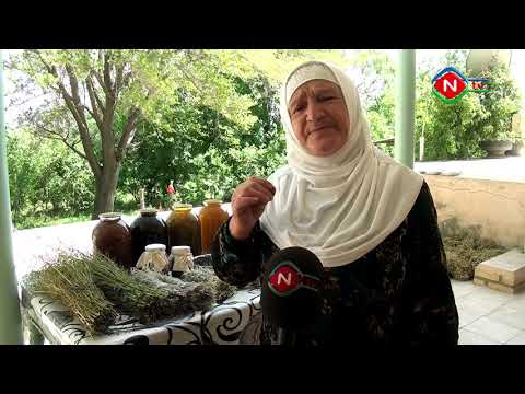 Ailə təsərrüfatları - 30.06.2021