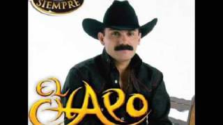 El Chapo de Sinaloa - A cada rato