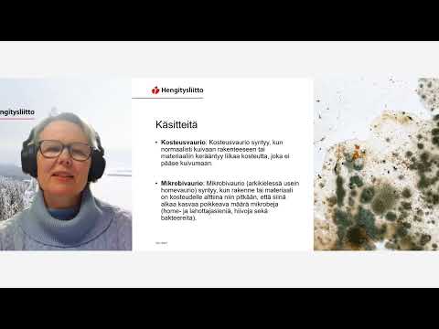 Rakennusten kosteus- ja homevauriot