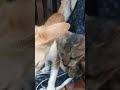 Kitana Pyara Wada Hai In Matwali Aankho Ka