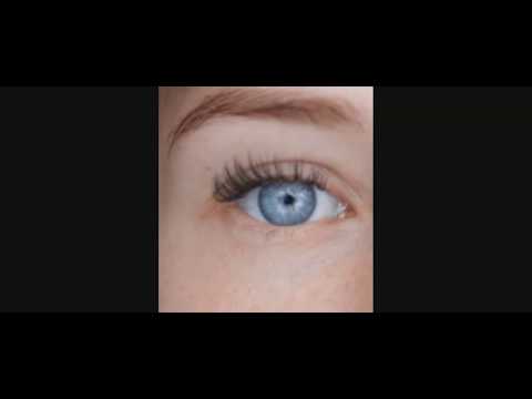 BRIEFFREUNDE | PENPALS | Trailer | English Subtitles | 2017