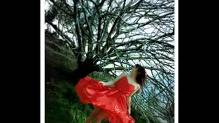 Morandi   Crazy world