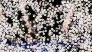 Salt, Peppa and Spinderella LYRICS