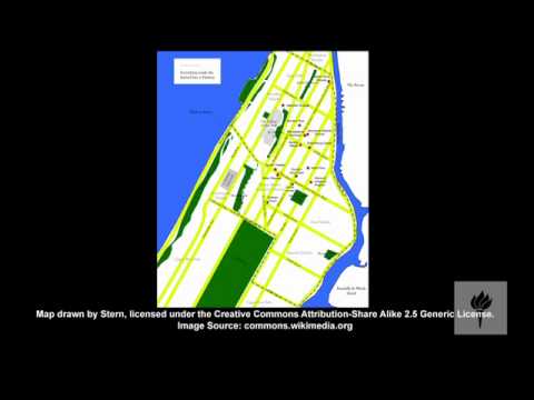 The Making of Greenwich Village and Harlem - Alternative New Yorks, 1900-1930