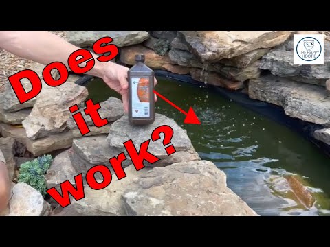 The Best Way to Remove Green Algae from a Pond