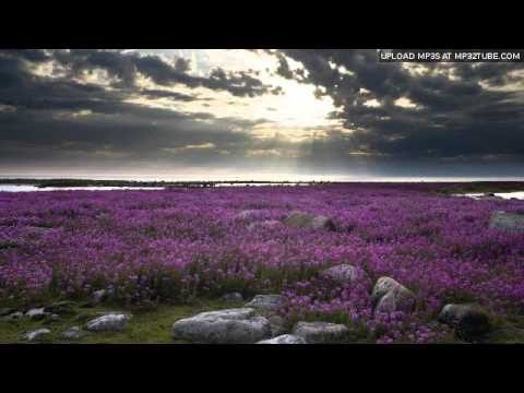 Suicide Sports Club- I Don't Know (Soul Mekanik/Pekker Remix)