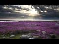 Suicide Sports Club- I Don't Know (Soul Mekanik ...