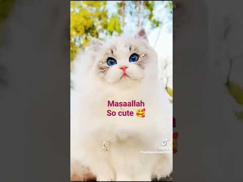 gift 🎁 to you🥰#fyp#foryou #fyp #mihika@#