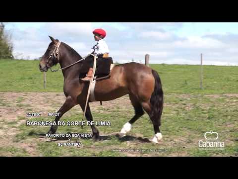 BARONESA DA CORTE DE LIMIA