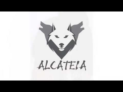 Folhas De Outono video