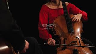 ibriDuo